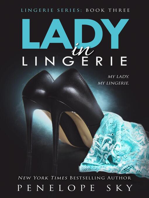 Cover image for Lady in Lingerie